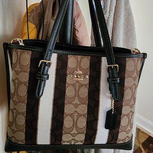 COACH Mollie Small Handbag Crossbody With Stripes